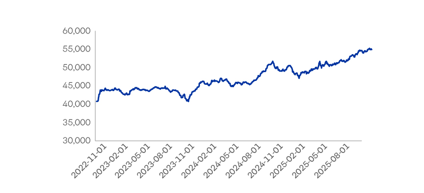 Evolucion Valorcuota Fondo D