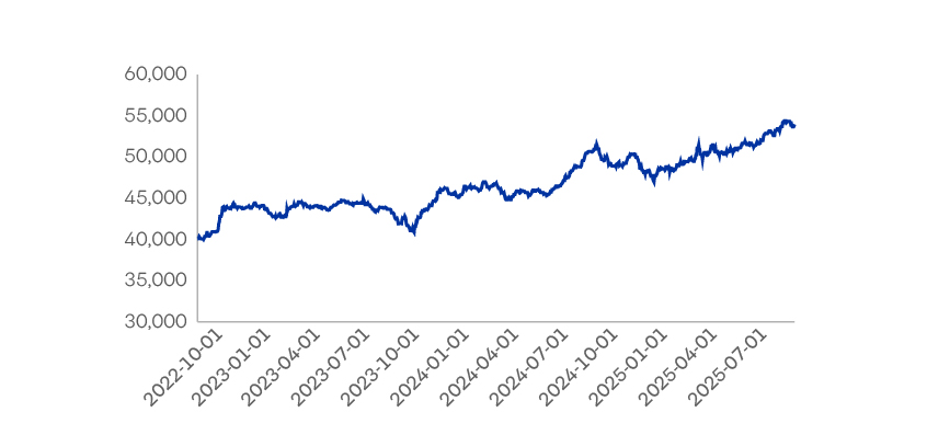 Evolucion Valorcuota Fondo D